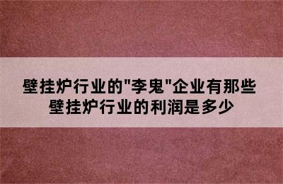 壁挂炉行业的"李鬼"企业有那些 壁挂炉行业的利润是多少